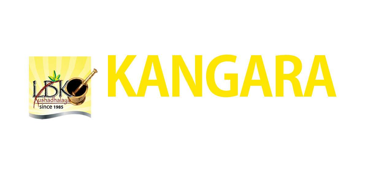 My Blog